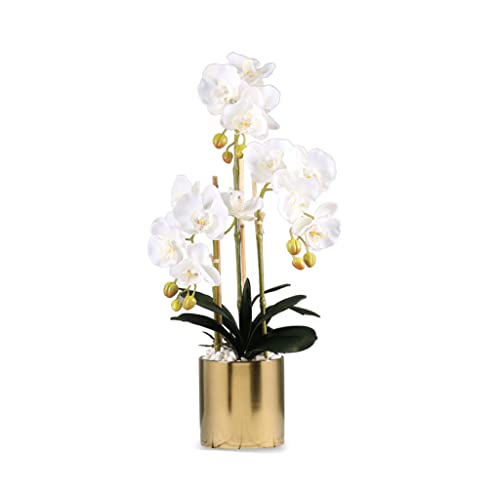 GSZCCZS Künstliche Blumen Foration Künstliche Phalaenopsis-Orchideen-Blumenarrangements Gefälschte Orchidee mit goldenem Keramik-Blumentopf für Tischdekoration Tisch Künstliche Blumen Pflanzen von GSZCCZS