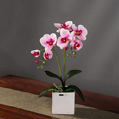 Künstliche Blume, künstlicher Bonsai mit Vase, künstliche Blume, künstliche Orchidee mit Vase, künstliche Phalaenopsis, Bonsai für Wohnzimmerdekoration, Kunstblumen, Desktop-Dekoration, Ornamente, B von GSZCCZS