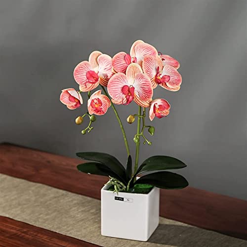 Künstliche Blume, künstlicher Bonsai mit Vase, künstliche Blume, künstliche Orchidee mit Vase, künstliche Phalaenopsis, Bonsai für Wohnzimmerdekoration, Kunstblumen, Desktop-Dekoration, Ornamente, B von GSZCCZS