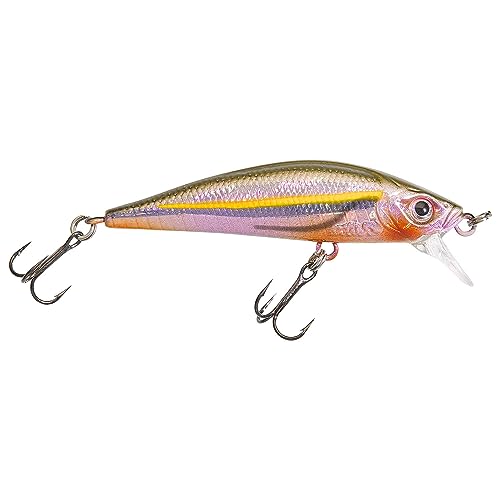 GUNKI Poisson Nageur Gamera 50 Sp - 5cm - 2.3g - Spirlin - Suspending - 69593 GUNKI Poisson Nageur Gamera 50 Sp - 5cm - 2.3g - Spirlin - Suspending - 69593 von GUNKI
