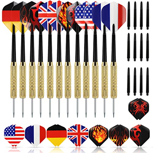 GWHOLE 12 Dartpfeile Set Steeldarts + Ersatzschäften + 28 Flights, 18 Gramm von GWHOLE