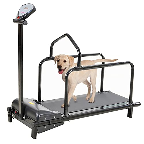 Hunde-Laufband für große Hunde, Laufband für Hunde, Laufband für mittelgroße Hunde, Haustier-Laufmaschine für kleine und mittelgroße Hunde, Indoor-Laufband von GYDUHYE