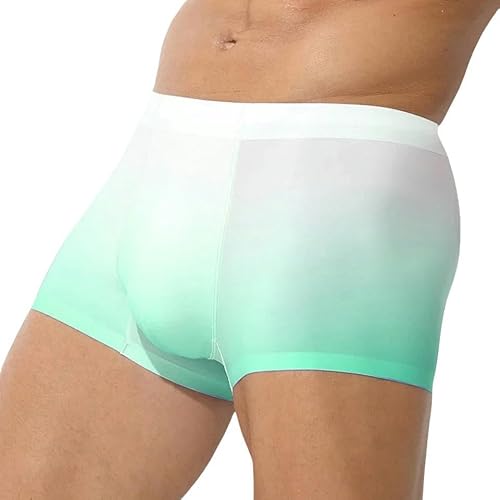 GYSMRIWG 2Pcs Männer 3D -Beutelboxer Slips Ombre Farbunterwäsche Mikrofaser -Weiche Slips-Türkis-L von GYSMRIWG