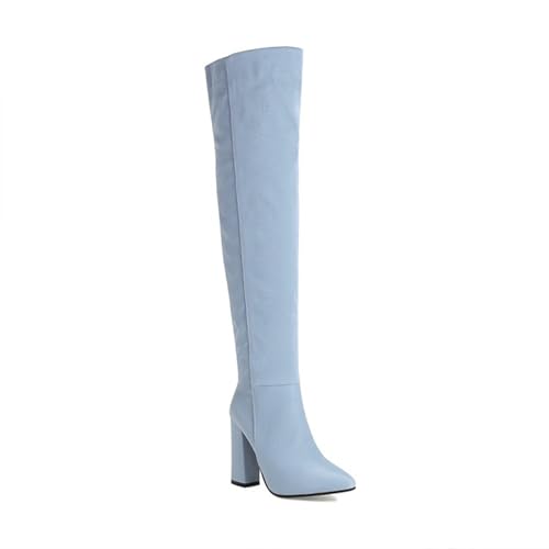 GZHMMAN Damenstiefel Spitze Spitze Fleece Overknee Stiefel Hohe Stiefel Hoher Absatz Dicke Dicke Seitlicher Reißverschluss Hoch 11 Cm,Blau,43 von GZHMMAN