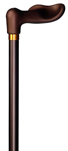 Gastrock Unisex – Erwachsene 42127-RB Walking-Stöcke, Bronze, One Size Gastrock Unisex – Erwachsene 42127-RB Walking-Stöcke, Bronze, One Size von Gastrock