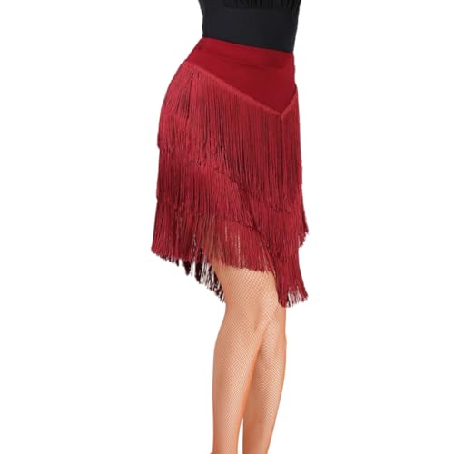GeRRiT Quasten Latin Dance Rock Kleider, Frauen Party Latin Dance Kleid Tanzkleidung Kostüm Outfits Für Tango Chacha Salsa Samba Rumba,Rot,3XL GeRRiT Quasten Latin Dance Rock Kleider, Frauen Party Latin Dance Kleid Tanzkleidung Kostüm Outfits Für Tango Chacha Salsa Samba Rumba,Rot,3XL von GeRRiT