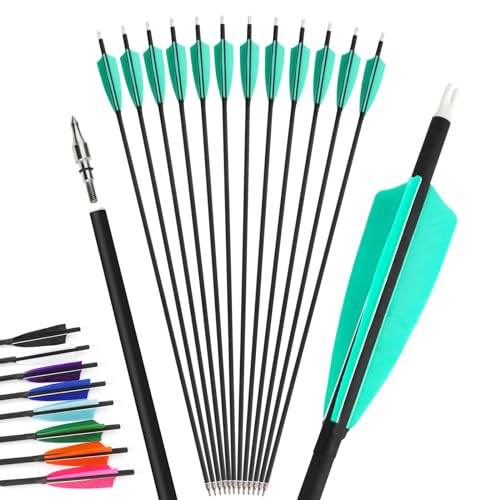 12Pcs 4inch Türkei Feder gemischt Carbon Pfeil 500 Spine Bogenschießen Jagdpfeile Anzug für Compound/Recurve Bogen Ziel Praxis Pfeil (blau, 30 Zoll) von Generic