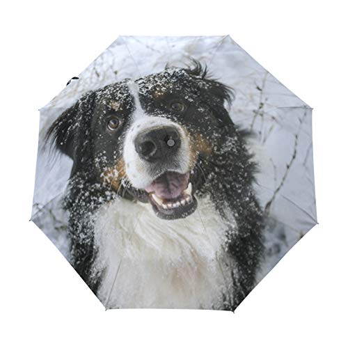 BALll Regenschirm mit automatischem Öffnen und Schließen, Anti-UV, Berner Sennenhund und Schnee, kompakt von Generic