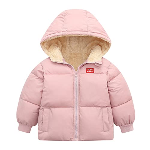 Baby Winter Jacke Mantel Reißverschluss Kapuzenjacke Winddicht Warm Fleece Oberbekleidung Schneeanzug mit Zwei Taschen für Jungen Mädchen 12 Monate-5 Jahre Schwarz Baby Winter Jacke Mantel Reißverschluss Kapuzenjacke Winddicht Warm Fleece Oberbekleidung Schneeanzug mit Zwei Taschen für Jungen Mädchen 12 Monate-5 Jahre Schwarz von Generic