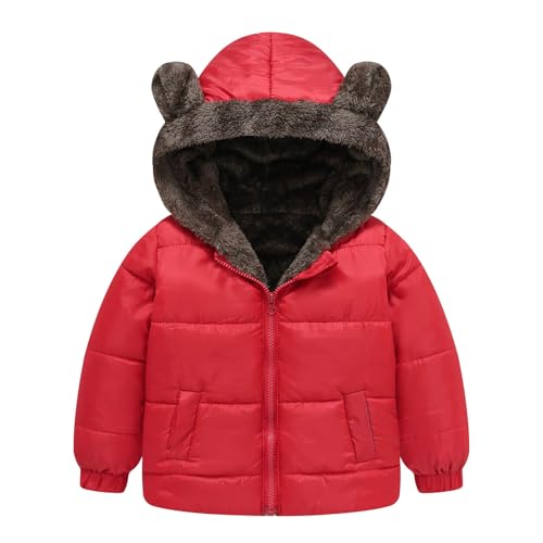 Baby Winter Jacke Mantel Reißverschluss Kapuzenjacke Winddicht Warm Fleece Oberbekleidung Schneeanzug mit Zwei Taschen für Jungen Mädchen 12 Monate-5 Jahre von Generic