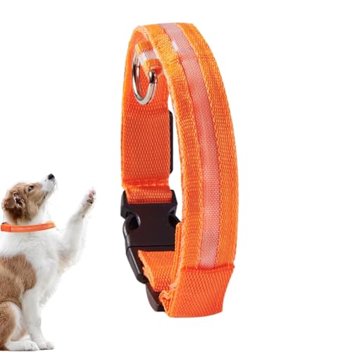 Blinkende Hundehalsbänder - Leuchtendes Leuchthalsband für Hunde,Wiederaufladbares Sicherheitshalsband mit weichem Blinklicht für Welpen, Haustiere und kleine Hunde von Generic