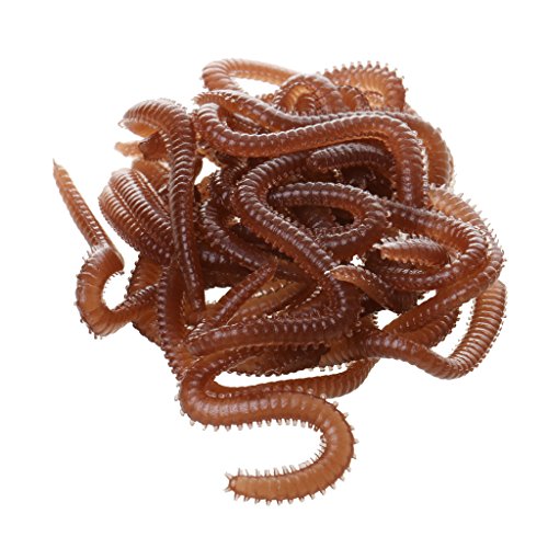 Ein Box Erde Wurm, Weich Köder 20g, Gummiköder Fischköder Ein Box Erde Wurm, Weich Köder 20g, Gummiköder Fischköder von MagiDeal