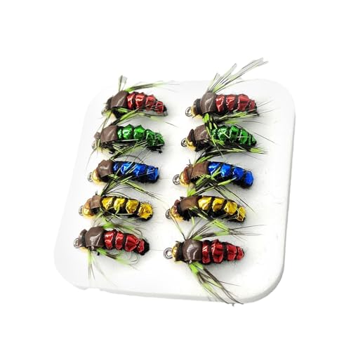 Fliegensortiment Forellenbarsch, Fliegenfischköder | 10 Stück Trockenfliegen zum Fliegenfischen - Komplettes Fliegenfischer-Set mit leuchtenden Farben. Fliegenfischer-Köder-Set von Generic
