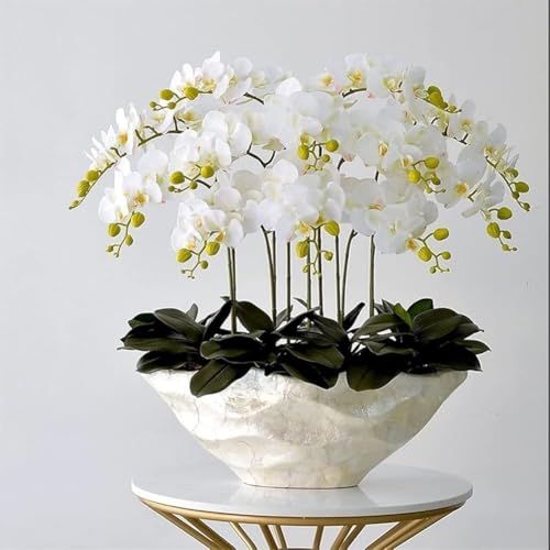 Künstliche Blume, künstlicher Bonsai mit Vase, große künstliche Orchidee mit Vase, künstliche Blume, Phalaenopsis, Kunstpflanzen für Zuhause, Wohnzimmer, Dekoration, 72 cm, Schreibtisch-Dekoration, L von Generic