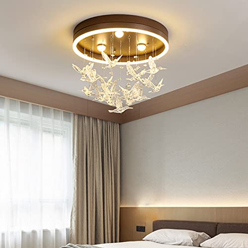 Lamp Moderne Deckenlampe für Kinderzimmer, LED-Deckenleuchte für Prinzessinnenzimmer, kreativ, warm und romantisch, Acryl-Schirm, Hochzeitszimmer, drei Farben (40 cm) von Generic