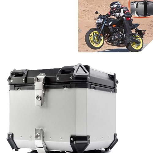 Schwarz/Silber 65 Liter Motorrad-Heckbox Aluminium Wasserdicht Helmtasche Aufbewahrungsbox Gepäckbox Für 2 Motorradhelme Universal-Montagehalterung(Silver) von Generic