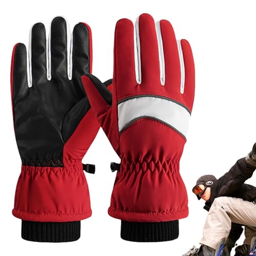 Skihandschuhe, Schneehandschuhe | Damen Herren wasserdichte Ski-Schneehandschuhe - Thermo-Snowboard-Handschuhe, rutschfeste und verschleißfeste Schneehandschuhe zum Skifahren, Radfahren von Generic