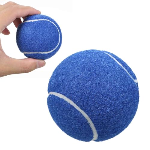 Tennisbälle, Tennis-Trainings-Tennisbälle, 12er-Pack, Fortgeschrittene Trainings-Tennisbälle, Übungsbälle, Hunde-Tennisbälle für Anfänger, Trainingsball (12er-Pack) von Generic