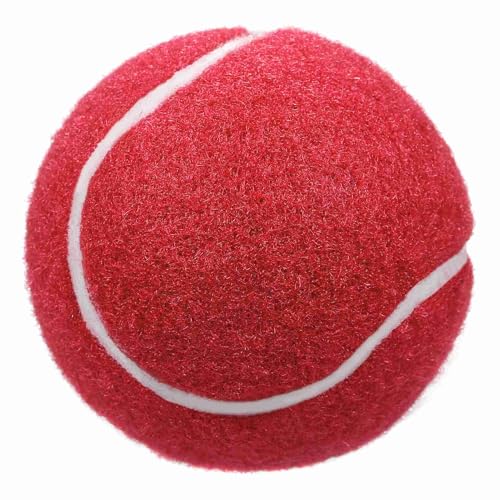 Tennisbälle, Tennisball, Hunde-Tennisbälle, 12er-Pack, Fortgeschrittene Trainings-Tennisbälle, Übungsbälle, Trainings-Tennisbälle für Anfänger, Trainingsball (12er-Pack #-R) von Generic