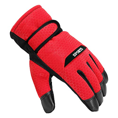 Unisex Handschuhe Damen Winter Fahrradhandschuhe für Herren Warme Ski Handschuhe Sport Thermo Winterhandschuhe Atmungsaktive Outdoor Trainingshandschuhe Rot Rot von Generic