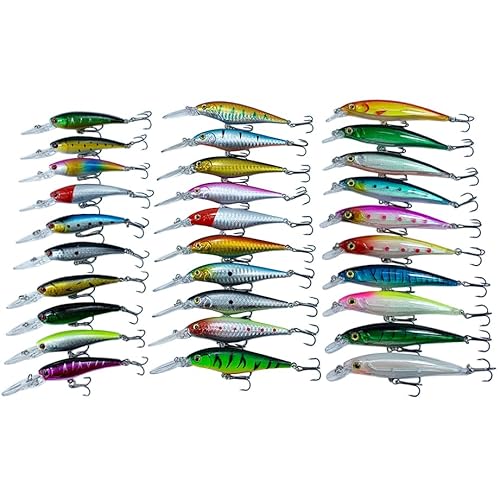 30 Stücke/20 Stücke/10 Stücke Minnow Set Harten Köder Angeln Locken Bass Hecht Frische Salz Wasser Meer 3D Augen Wobbler Tackle Crankbait Kit((30pcs) 10A 10B 10N) von Generisch