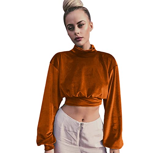 Angebote Des Tages Heute Blitzangebote, Samt Pullover Damen Baggy Fleecepullover Leicht Atmungsaktiv Hoody Bluse Einfarbig Hoodie Vintage Oberteile Winter Pulli Sweatshirt Sweater Langarmbluse Blouses von Generisch