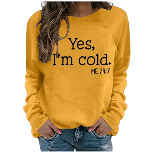 Damen Sweatshirt, Retourenkauf Angebote, Sweatshirt Pullover Damen Oberteile Damen Pullover Sweatshirt Elegant Barbara Mode Casual Damenpullover Sport Fleecepullover Oberteil Oversize Mädchen von Generisch