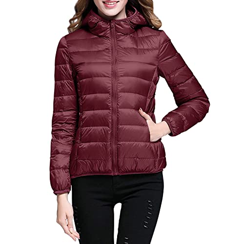 Damen Wintermantel Warm, Jacke Damen Winter Wasserdicht Down Coat Winterjacke Outdoorjacke Daunenmantel Wanderjacke Winter Coat Gefüttert Übergangsjacke Skijacke Warm Steppjacke von Generisch