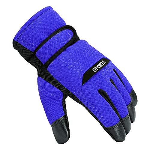 Damenhandschuhe, frostsicher, Ski- und Winterhandschuhe, warme Handschuhe, Fäustlinge (Blau, Einheitsgröße) von Generisch