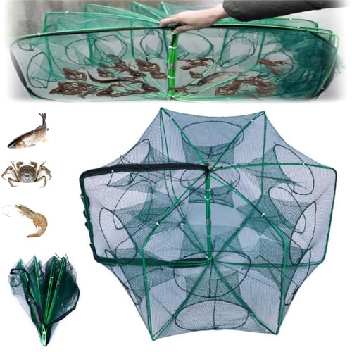 Fischernetzfalle mit zusammenklappbarem Wurfnetz, Langustenfalle Köder zum Fangen Kleiner Köderfische Aale Krabbenhummer Garnele (Grün, 12 Löcher) von Generisch