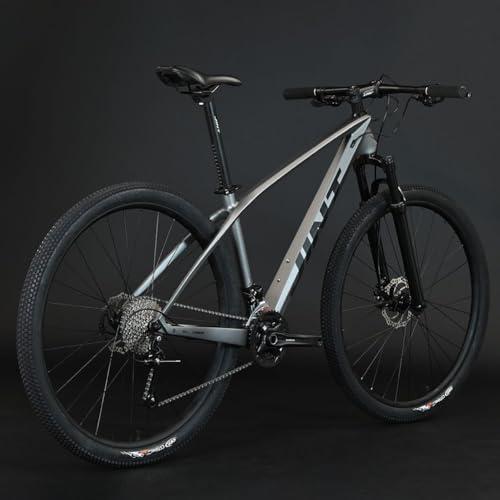 Generisch Carbon Rahmen Mountainbike Fahrrad Bike 29Zoll 27speed Grau Generisch Carbon Rahmen Mountainbike Fahrrad Bike 29Zoll 27speed Grau von Generisch