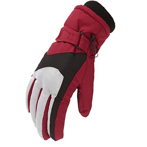 Handschuhe Schwarz Damen Satin Katzenpfote Handschuhe Outdoor- Schneesport für Winter Fäustlinge Winddichte Skihandschuhe Satin Handschuhe Elegant Pantomime Handschuhe (Red, One Size) von Generisch