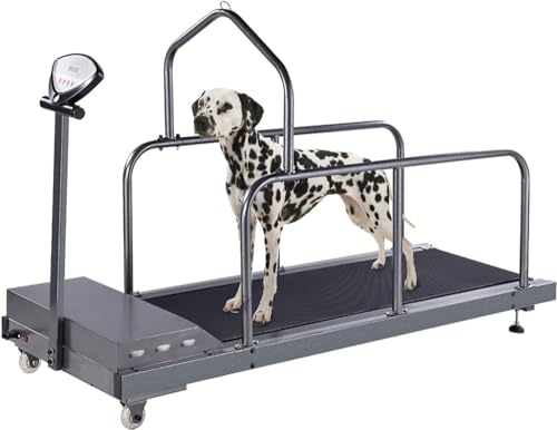 Hunde-Laufband für große Hunde – Indoor-Haustier-Laufmaschine für mittelgroße und kleine Hunde – Hunde-Laufband für Heim-Fitnessstudio von Generisch