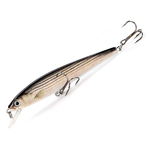 Minnow Angeln Köder Wobbler for Hecht Angeln Zubehör 10 cm 11g Hard Bass Köder Angeln Ausrüstung Winter Angeln Balance Pesca(DM01 09) von Generisch