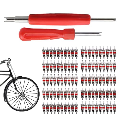 Ventilstamm -Puller -Installationsprogramm, Ventilkernentfernungswerkzeug,Ventilkernentferner Reifenreparaturwerkzeug - Einzel-/2 -Kopf -Reifen -Zubehör mit Entferner -Tool -Sortiment -Kit von Generisch