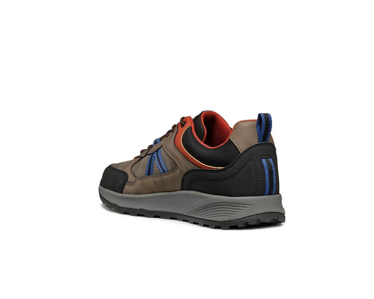 Geox TERRESTRE Sneaker von Geox