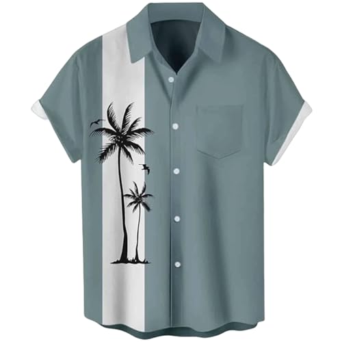 GerRit Herren Hemd Männer Sommer 3D Printed Holiday Kurzarm Tops T -shuse Übergroße Bluse Casual Men Shirt-Farbe 10-4xl von GerRit