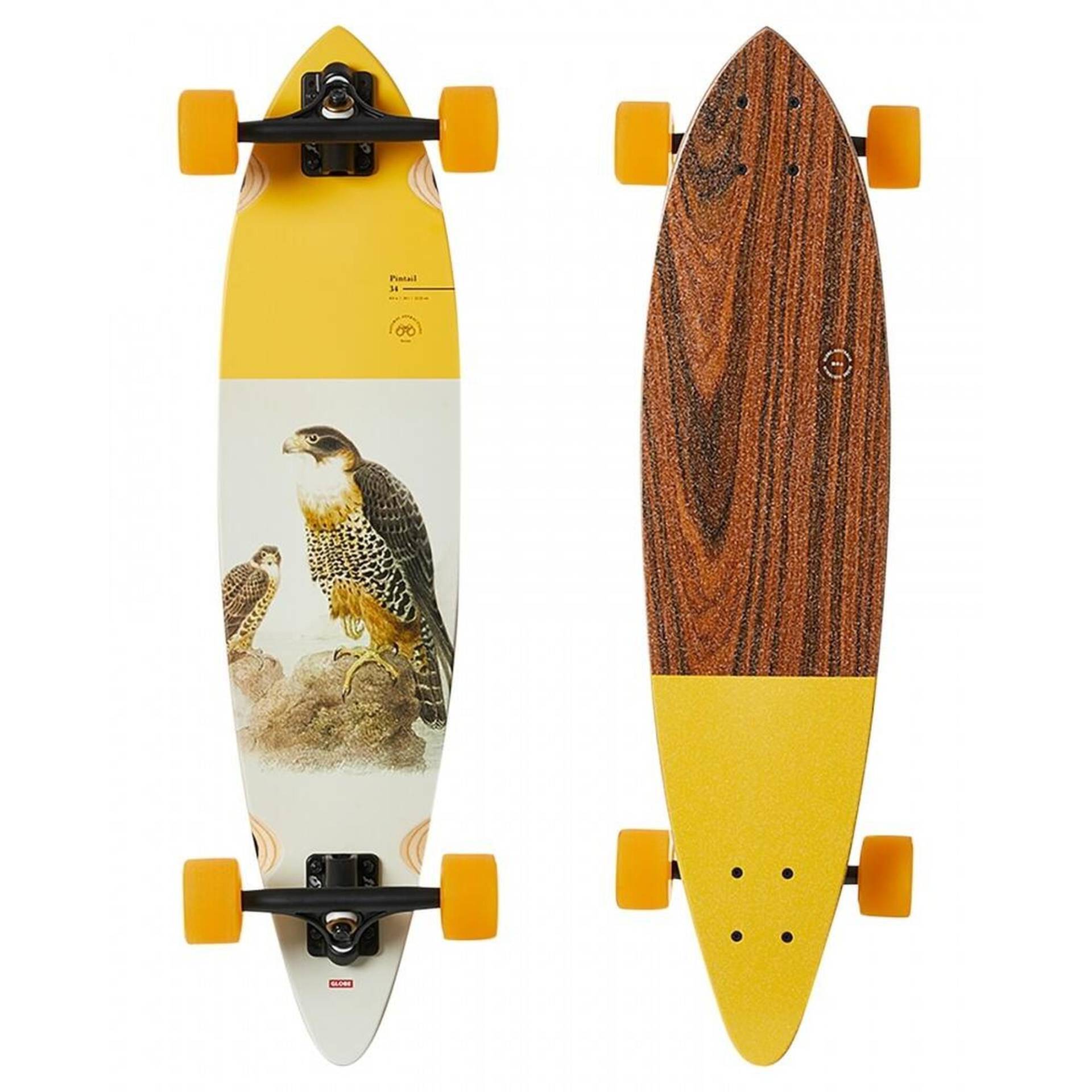 Globe Pintail 34" - Falcon-Longboard von Globe