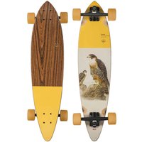 Globe Pintail 34 Falcon Globe Pintail 34 Falcon von Globe