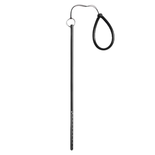 Glugahrif Tauchstab, Unterwassersonde, Tauchstock mit Handgelenkschlaufe, Zubehör für Wasserwanderungen, Tauchhilfen, Tauch-Zeiger Glugahrif Tauchstab, Unterwassersonde, Tauchstock mit Handgelenkschlaufe, Zubehör für Wasserwanderungen, Tauchhilfen, Tauch-Zeiger von Glugahrif