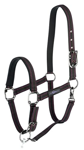 Pferdehalfter für Goleygo-System, schwarz/fuchsia, Foal Pferdehalfter für Goleygo-System, schwarz/fuchsia, Foal von GoLeyGo