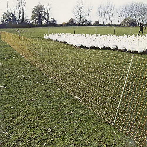 Geflügel 112/2–50 m Geflügelnetz Geflügel 112/2–50 m Geflügelnetz von Göbel