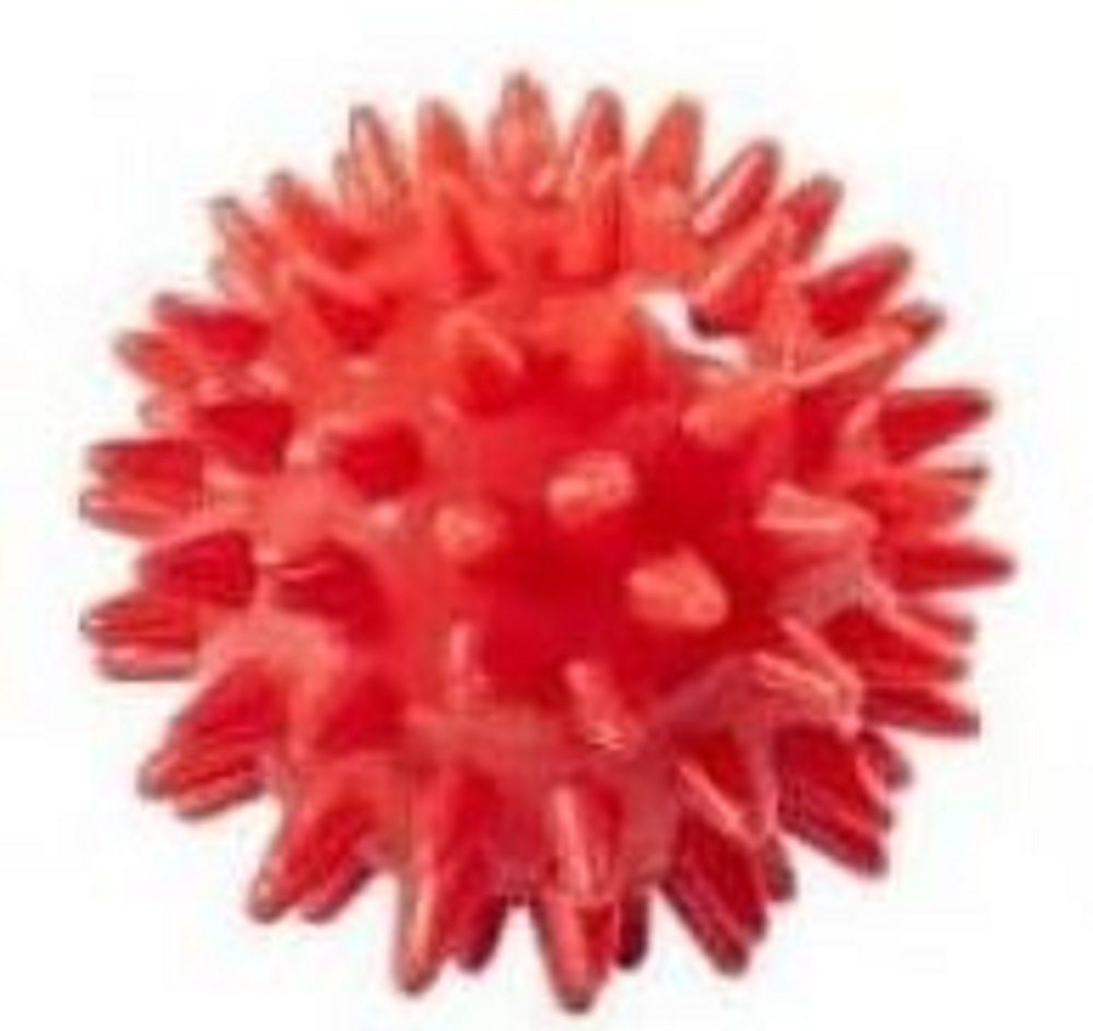 Gollnest & Kiesel Massageball ca ∅:5,5 cm Igelbälle Ball Greifübungen - Stimulierung Reflexzonen, 1-tlg. von Gollnest & Kiesel