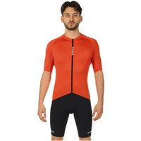 Set (Radtrikot + Radhose) GORE WEAR Spinshift Set (2 Teile), für Herren|GORE von Gore Wear