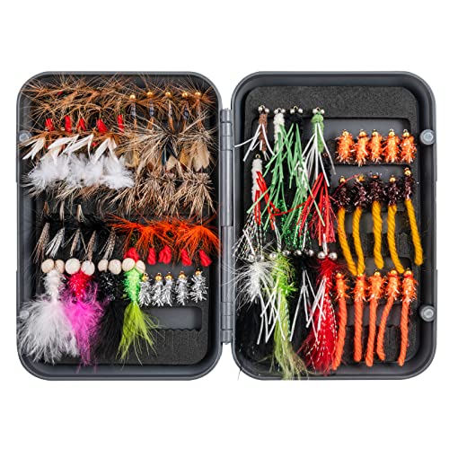 Goture Fliegenfischer-Fliegen-Kit – 100PCS Fliegenfischer-Köder mit Fliegenfischerbox – Fliegenfischer-Sortiment-Kit für Bassforellen-Lachsangeln – Trockenfliegen Nassfliegen Streamer Nymphen von Goture