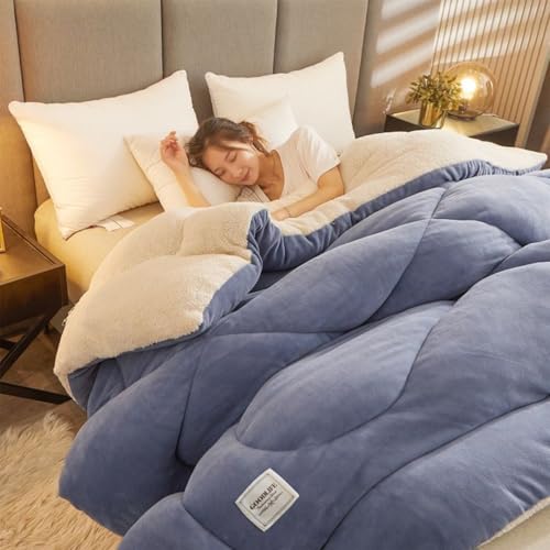 Gvqng Steppdecken FüR Kalte Winter, Weiche, Warme Bettdecke FüR Den Winter, Dickes, Warmes Daunenbett FüR Doppelbett, Flauschige, Warme Flanelldecke, Verdickte Kaschmirdecke,06,200 * 230cm6kg von Gvqng