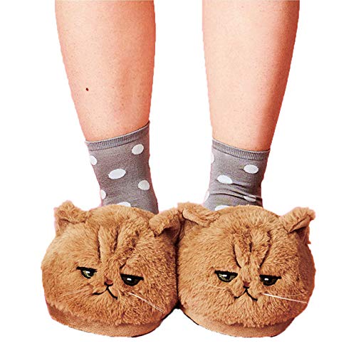 HAIBI Winter Pantoffeln Süße Plüsch Kätzchen Weiche Tier Katze Frauen Plüsch Hausschuhe Damen Haus Schlafzimmer Hausschuhe, Sie Sind Fertig, 4,5 HAIBI Winter Pantoffeln Süße Plüsch Kätzchen Weiche Tier Katze Frauen Plüsch Hausschuhe Damen Haus Schlafzimmer Hausschuhe, Sie Sind Fertig, 4,5 von HAIBI
