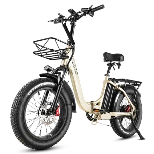 HANEVEAR Elektrofahrräder 20 Zoll E Bike Klapprad Pedelec 24Ah/48V Lithium-Akku | bis zu 140km, 250W Heckmotor, Hydraulische Bremse, Elektrofahrrad Trekking/City Pedelec für Damen und Herren von HANEVEAR