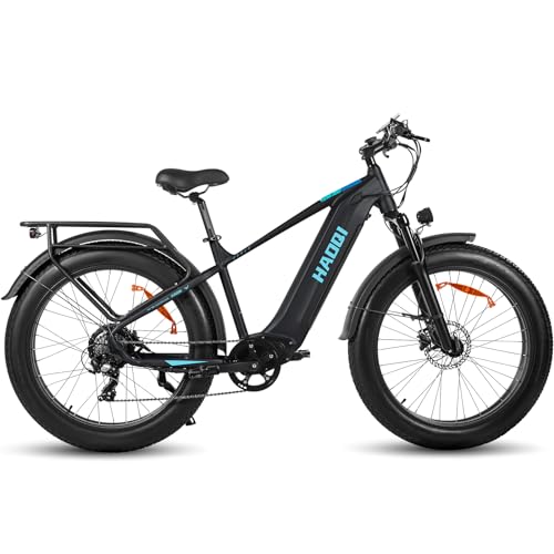 HAOQI Eagle Elektrofahrrad für Erwachsene, 250W bürstenloser Motor Mountainbike mit 48V 20AH herausnehmbarem Akku,26" x 4.0 Fat Tire Ebike, Elektrofahrrad mit 7 Gängen bis zu 25 km/h HAOQI Eagle Elektrofahrrad für Erwachsene, 250W bürstenloser Motor Mountainbike mit 48V 20AH herausnehmbarem Akku,26" x 4.0 Fat Tire Ebike, Elektrofahrrad mit 7 Gängen bis zu 25 km/h von HAOQI
