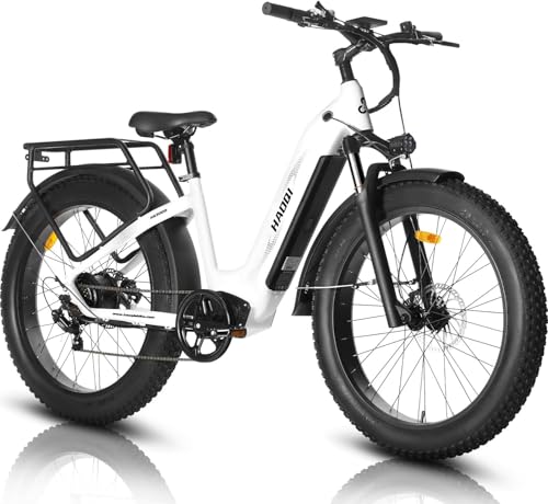 HAOQI Eagle Elektrofahrrad für Erwachsene, 250W bürstenloser Motor Mountainbike mit 48V 20AH herausnehmbarem Akku,26" x 4.0 Fat Tire Ebike, Elektrofahrrad mit 7 Gängen bis zu 25 km/h HAOQI Eagle Elektrofahrrad für Erwachsene, 250W bürstenloser Motor Mountainbike mit 48V 20AH herausnehmbarem Akku,26" x 4.0 Fat Tire Ebike, Elektrofahrrad mit 7 Gängen bis zu 25 km/h von HAOQI